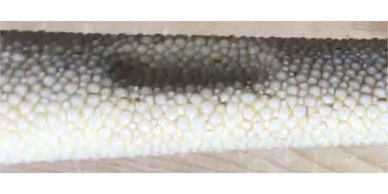 柄の下地部分の画像