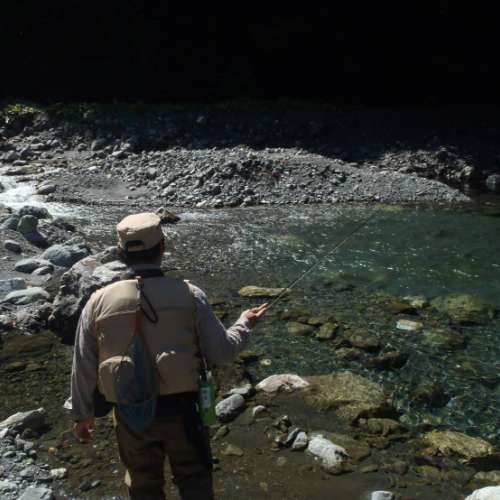 趣味の釣り画像